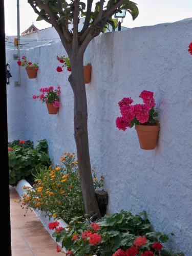 Hotel El Capistrano Sur Nerja